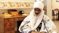 Months after his dethronement, former Kano emir Sanusi goes back to school, bags big fellowship at top UK varsity