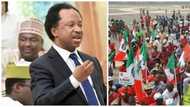 Shehu Sani advocates N150,000 minimum wage for workers, slams politicians for stealing monies