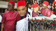 APC accuses Fayose of sponsoring Nnamdi Kanu, gives reasons