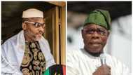 I fought in Biafra war and don't want to witness another war - Obasanjo sends message to Buhari