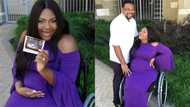 Wheelchair-bound blogger Lizzy Oke shares adorable pregnancy photos
