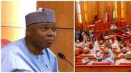 BREAKING: Looters in trouble as Senate passes whistle-blower protection bill