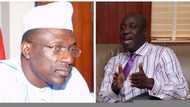 Makarfi victory: Why APC is ‘unbothered’ - Party chieftain reveals