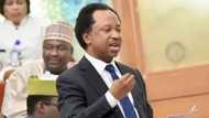 Jami’an EFCC sun kira Jami’an banki su bada shaida a kan Sanata Shehu Sani