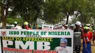 Operation Python Dance: Igbos march to Villa to commend Buhari (photos)