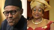 Lauretta Onochie's name missing as Senate receives seven INEC nominees from Buhari