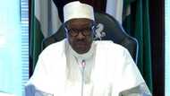 Shocking prophecy: “What will happen in 2-3 months could force Buhari out of power”