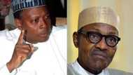 2019 presidency: Buhari is a monumental failure, may break Nigeria up - Northern leader