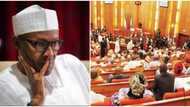 Electoral amendment: Names of 42 senators backing President Buhari revealed