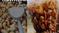 Yummy or...? 5 creepy and delicious insects every Nigerian should try before they die (photos)