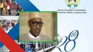 BREAKING: Buhari will attend 28th Enugu trade fair on March 31 - Organizers