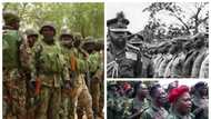 We will continue where Ojukwu stop - Biafra group launches Operation Python Cry; gives ultimatum
