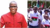 After calling for boycott of Anambra elections, IPOB attacks guber aspirant in church