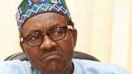 Confusion As President Buhari Shuns APC Legislators' Peace Meeting