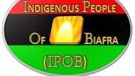 We need help, IPOB cries out