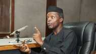 We did not sack any amnesty office staff for criticising VP Osinbajo - Presidency