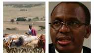 Fulani youths list conditions for lasting peace in Southern Kaduna