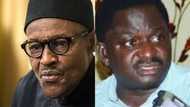Buhari didn't tell me his health condition, he is the only one that can reveal his health status - Adesina