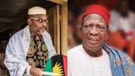 Prominent Igbo leader Ben Nwabueze reveals what Nnamdi Kanu told him about Biafra agitation
