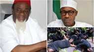 Jami'an tsaro na yiwa matasanmu kisan gilla, Dattawan Igbo