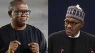Nigeria is a failed country under President Buhari - Peter Obi