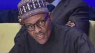 Bloomberg Report: Nigeria to have the highest jobless rate in the world
