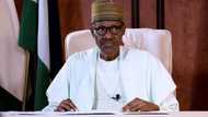 Buhari assures Nigerians of peaceful general elections in 2019