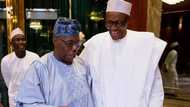 Obasanjo zai kafa kungiya don tsige Buhari daga mulki ko ta halin kaka