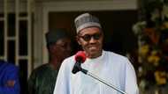 President Buhari explains why ministers cannot be picked from all tribes