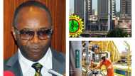 Finally, an official report reveals when Nigeria’s crude oil would dry up and it could be very soon