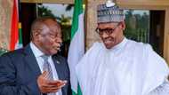 Why Nigerians are being killed - South Africa’s president gives reasons