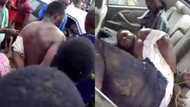 Notorious thief arrested in Ogun state, narrowly escapes jungle justice (photos, video)