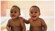 Best Igbo names for twins and their meaning