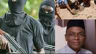 UPDATE: Unknown gunmen kill 2, abduct 2 in Kaduna