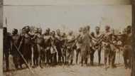 Origin and history of Tiv tribe