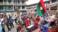 See what Biafra groups are doing with politicians in Anambra