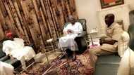 2019: Shugaba Buhari na kokarin hana Kwankwaso tserewa daga APC