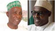 Governors, ministers plotting more surprises for Buhari - R-APC chairman