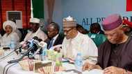 We have stabilised Nigeria - President Buhari