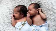 An haifi jarirai 20,210 a ranar 1 ga watan Janairu a Najeriya - UNICEF