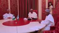 Why Buhari signed distorted budget - Presidency