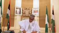 Labari mai dadi: Buhari ya kaddamar da shirin wadatar da abinci