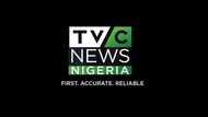 The owner of TVC Nigeria: top facts we should know