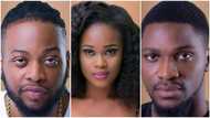 BBNaija organiser hosts housemates to cultural party
