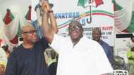 Embattled PDP Senator Kashamu Wins Big At Appeal Court