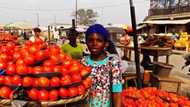 GOOD NEWS: Prices of foodstuff crash ahead of Christmas