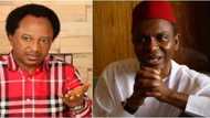 Kwararan dalilai 4 da zasu hana sulhu a tsakanin El-Rufai da Shehu Sani