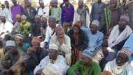 Bambarakwai: An kama ‘yan bijilanti 11 bisa zargin kisan ‘yan ta’adda 41 a Zamfara
