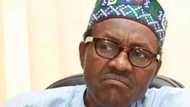 Matasa ci ma zaune: Buhari ma ci ma kwance ne – Inji wani Dan Najeriya da ya ji jiki (bidiyo)