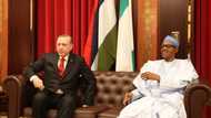 6 major decisions made during Buhari's visit to Turkey